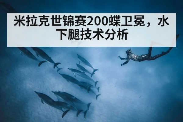 米拉克世锦赛200蝶卫冕，水下腿技术分析