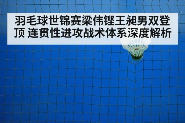 badminton net play