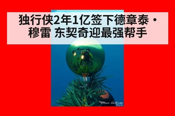 独行侠2年1亿签下德章泰·穆雷 东契奇迎最强帮手